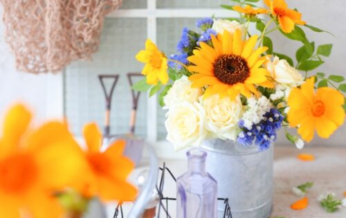 「自己肯定感を上げよう」という自己否定の矛盾　自己肯定感を育てるシリーズ⑤