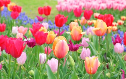 【新しい試み】心が疲れている時に読むシリーズ