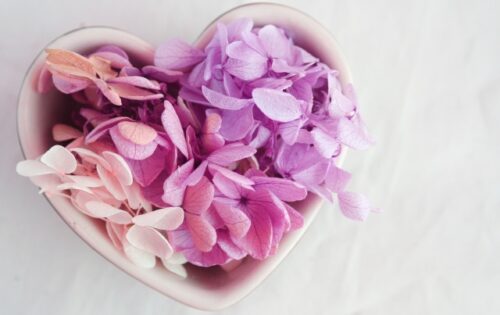 自己肯定感を育てるシリーズ①