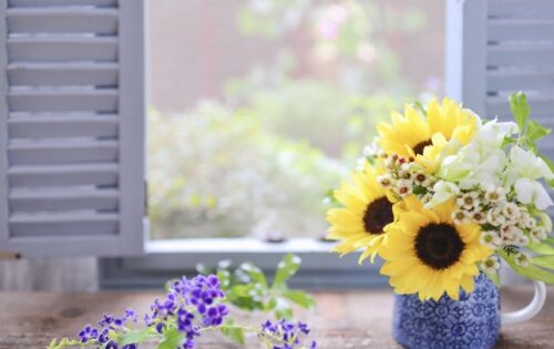 心が疲れた時に読むシリーズ⑧自分を責めない、裁かない