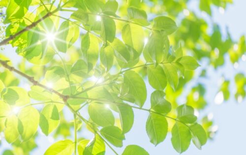 心が疲れている時に読むシリーズ⑤大丈夫なふりをしない